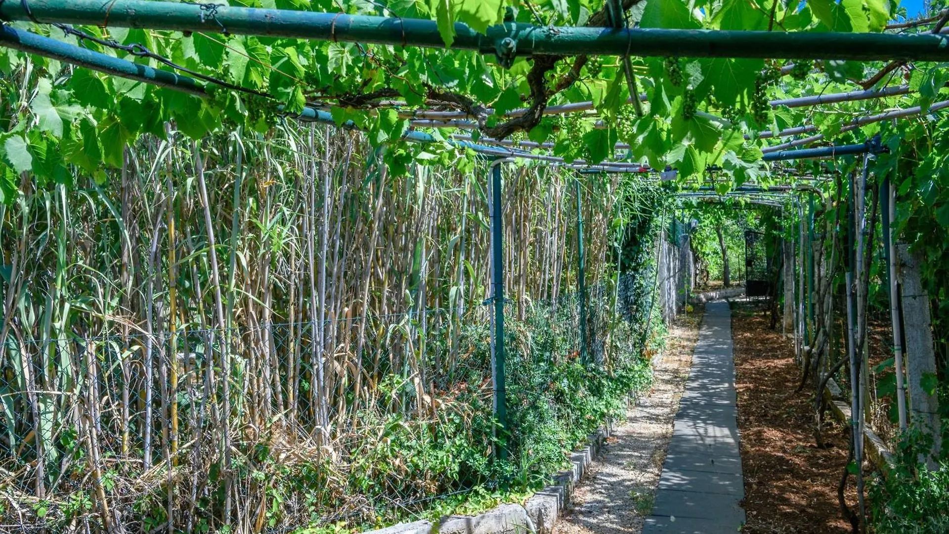 Nyaraló Wunderschoenes Ferienhaus In Pomer Mit Garten Póla